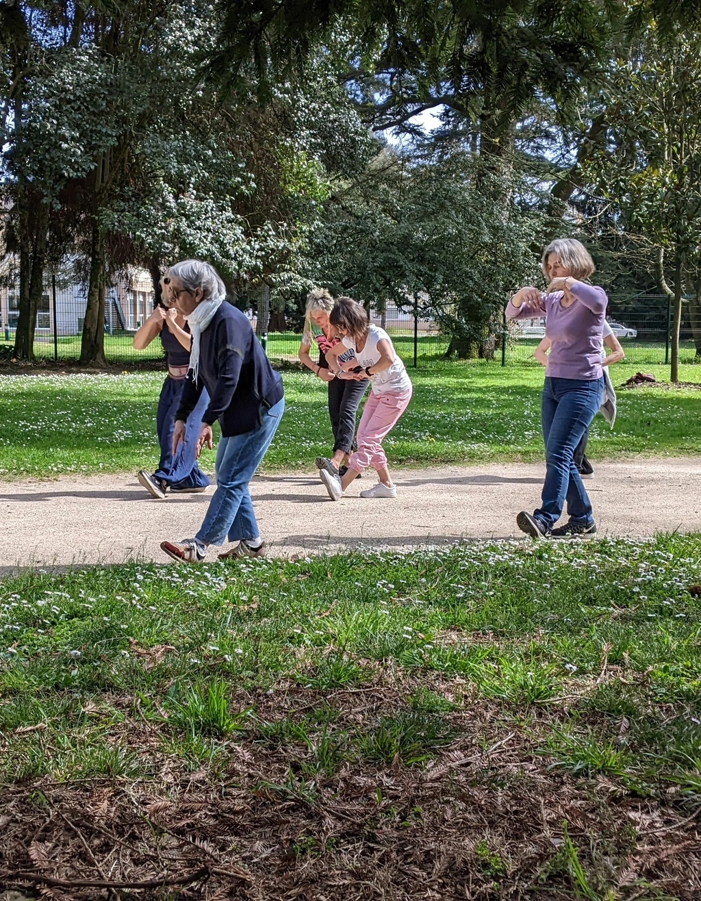 Atelier QI GONG, Méditation et Marches de santé à Castanet