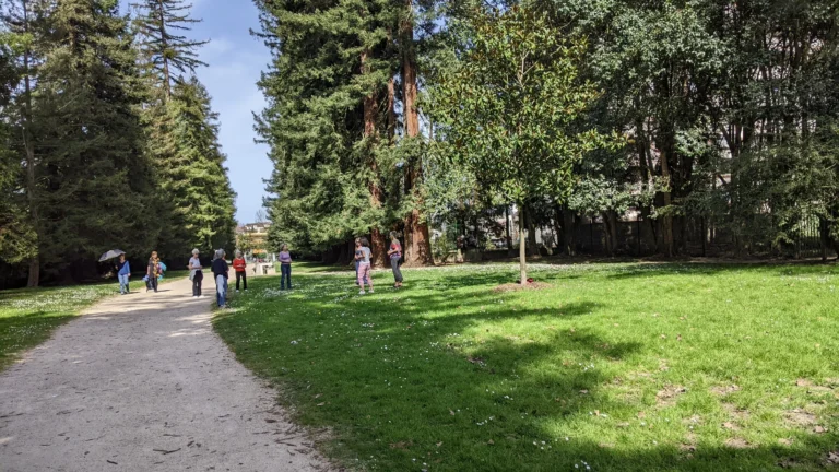 Atelier QI GONG, Méditation et Marches de santé à Castanet – le dimanche 22 juin 2025