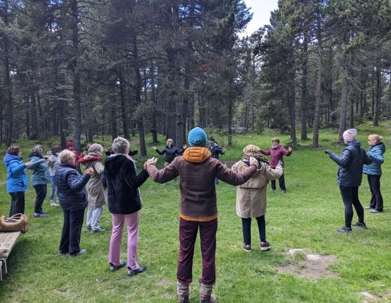Stage Ressourcement Qi Gong et Méditation Séjour à Font Romeu / Bolquère – du 14 au 17 mai 2026